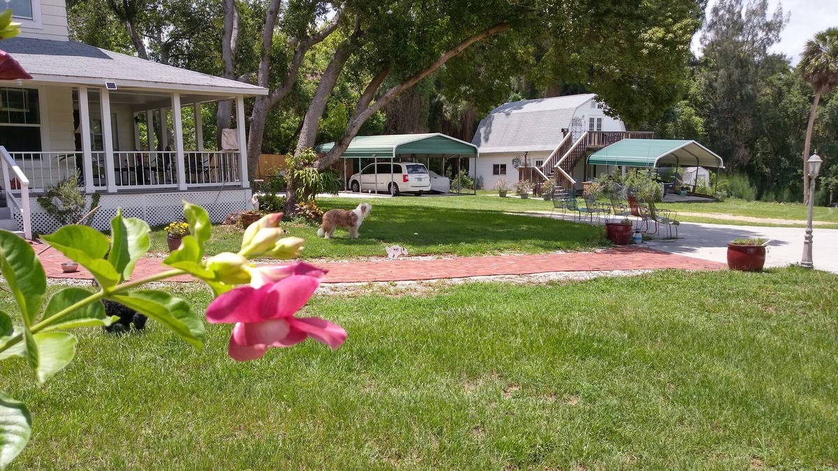 Eustis House | Sweet Quiet upstairs efficiency cottage overlooking a lake!