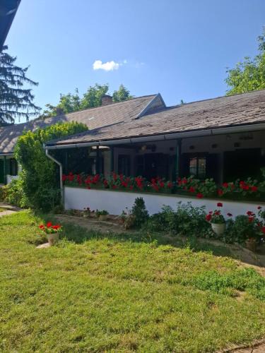 Szakcs House | Szent Flórián Vendégház