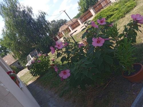 Tuskevar Apartment | Szilasi Vendégház Apartman2