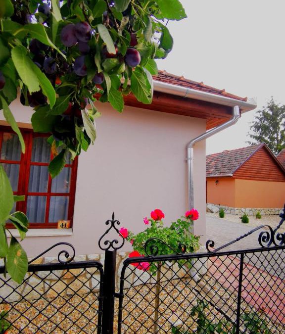 Tolcsva Apartment | Szilvaliget Vendégház