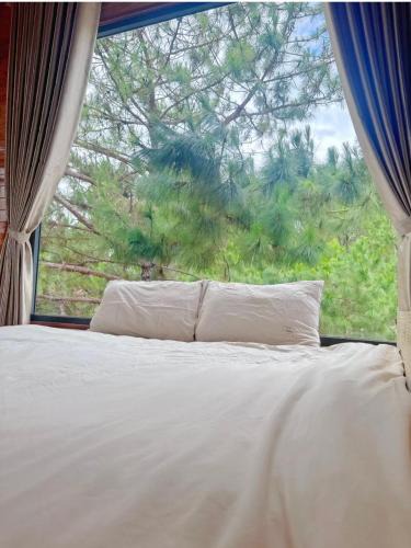 Kon Plong Hotel | T'Gins Măng Đen Homestay
