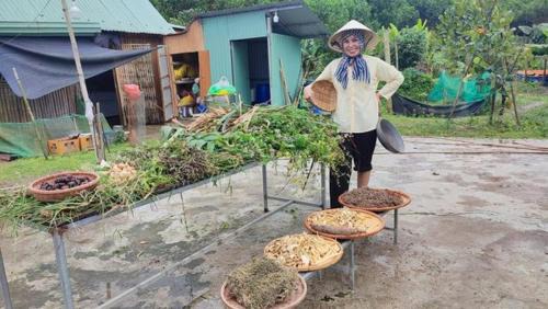 Dong Giang Other | T&J Farmstay