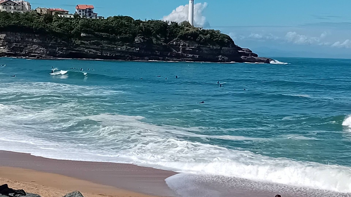 Anglet Apartment | T2 Anglet 200M BEACHES