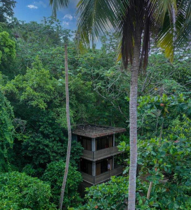 Samana Cabin | Taino Beach Lofts