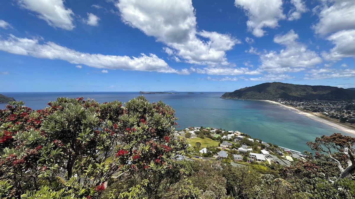 Tairua House | Tairua Treasure
