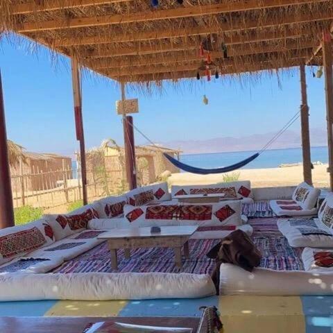 Wasit Bed & Breakfast | TAJ Camp