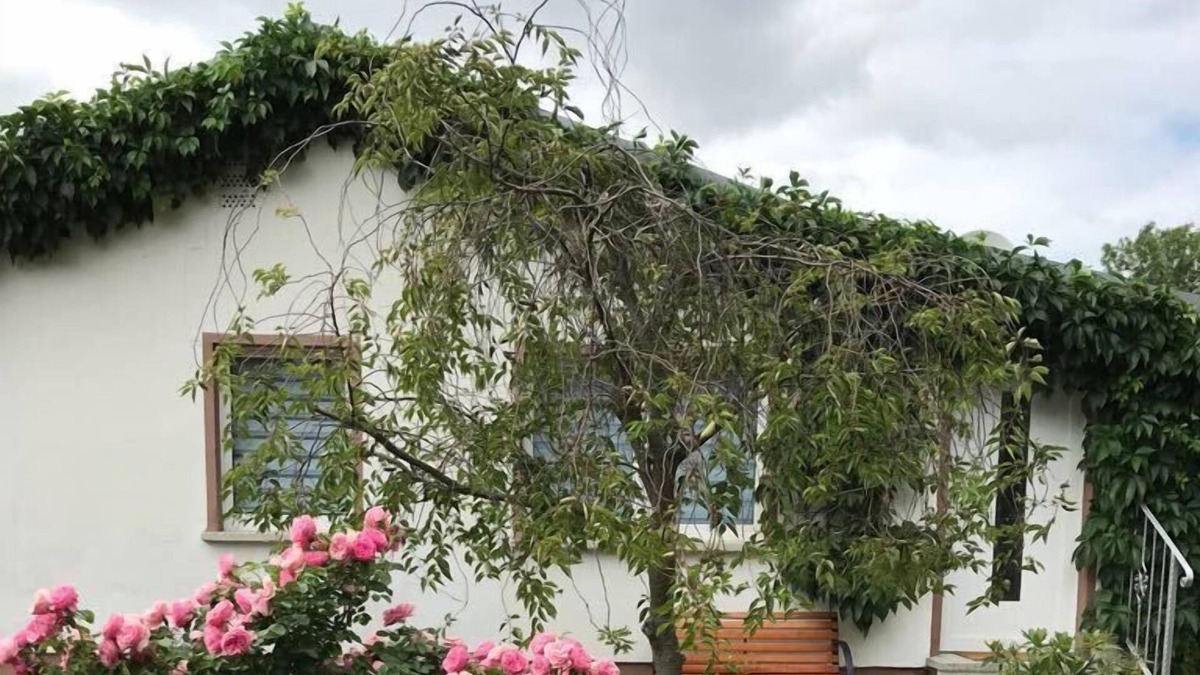 Meisdorf House | Take a vacation at the gate to Selketal