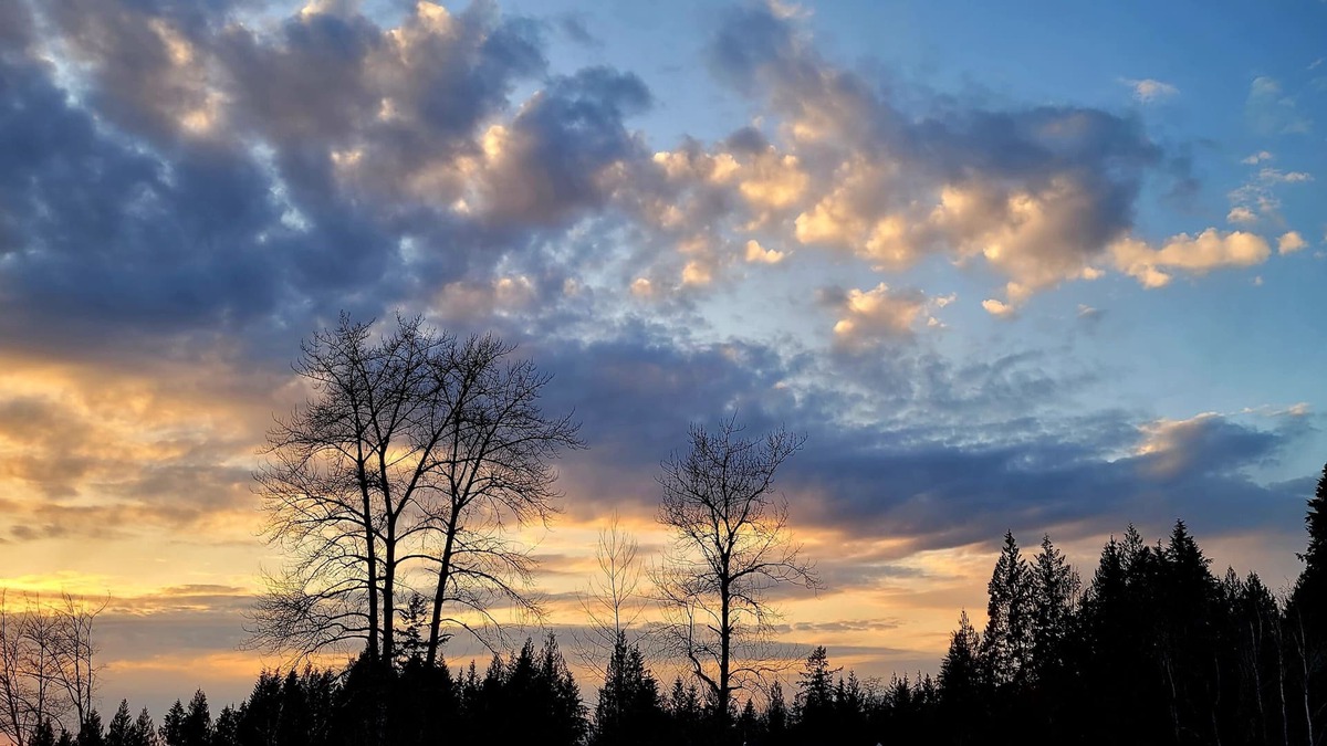 Maple Ridge House | Take it easy at this tranquil getaway Kanaka Springs ,nature lovers paradise.