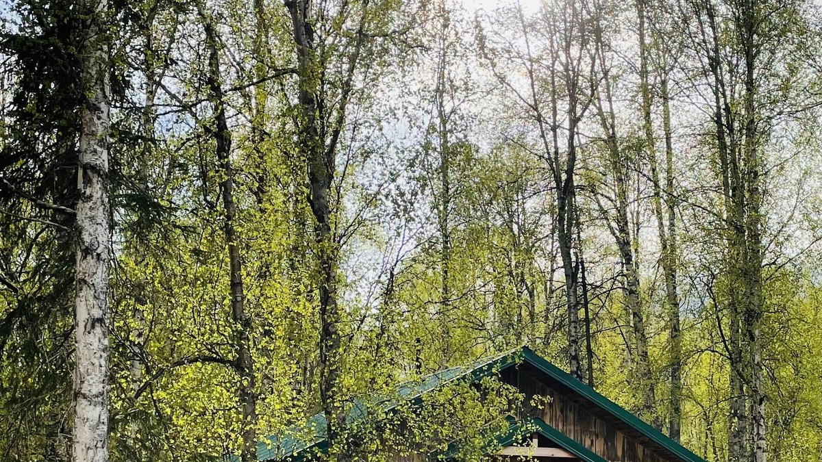 Susitna North Cabin | Talkeetna Wilderness Lodge - Family Cabin #4