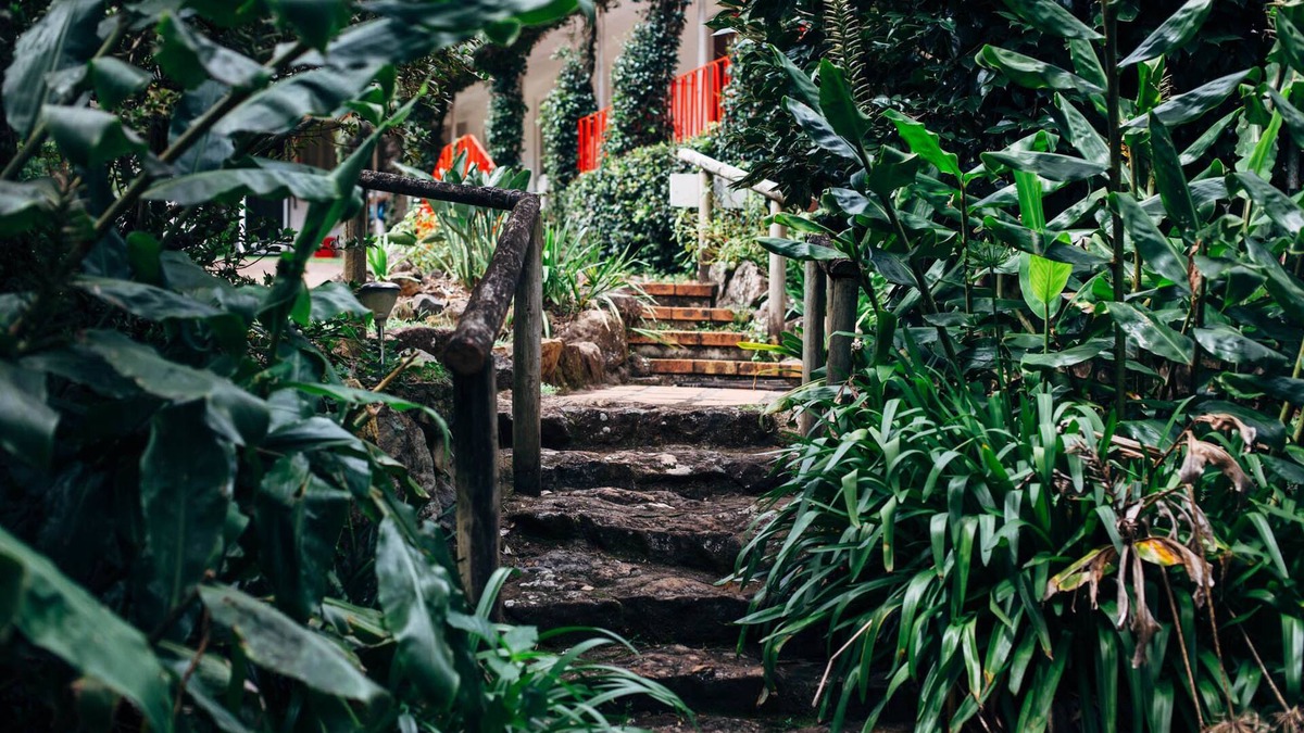 North Tamborine Hotel | Tall Trees Motel