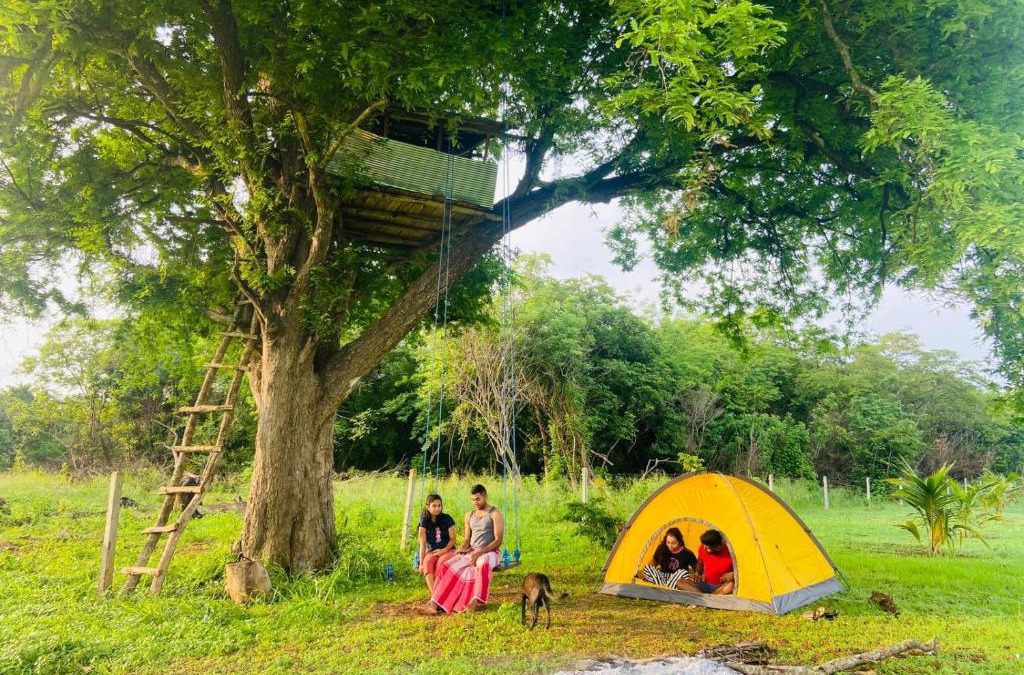 Maho Other | Tamarind Tree Chamber