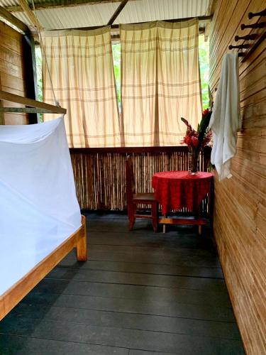 Tambopata House | tambopata oropendola