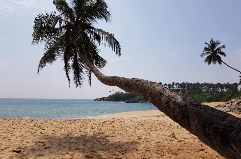 Tangalle Ski Chalet | Tangalle Bay Cottages