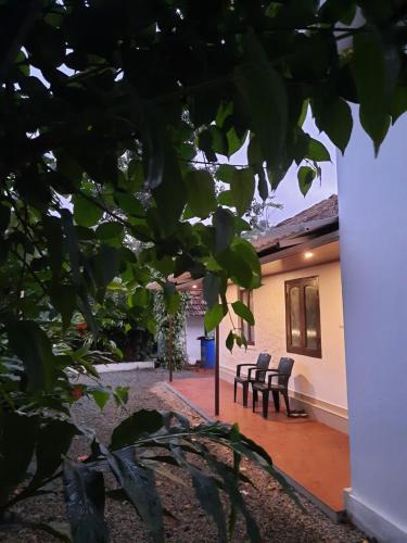 Elappara Apartment | Taniy's Inn Vagamon