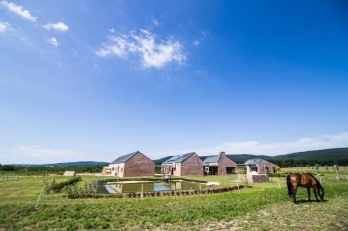 Szar House | Tanyaház-Öregtölgy Vendégház