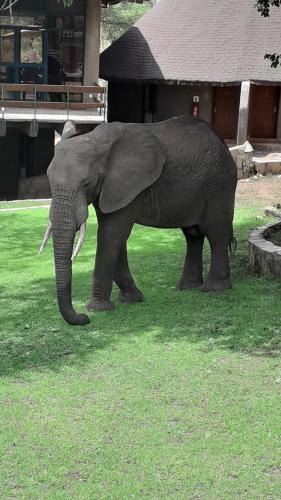 Simanjiro Hotel | Tarangire Sopa Lodge