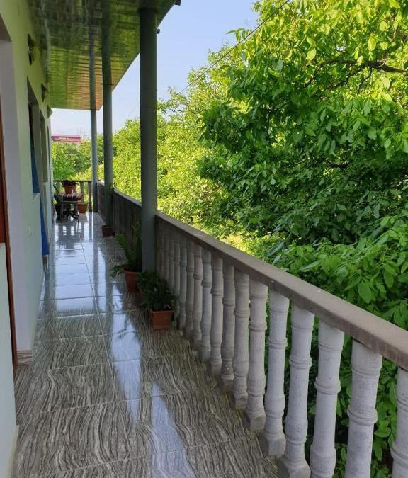 Artsvanik Hotel | Tatev Shinuhayr Hotel'