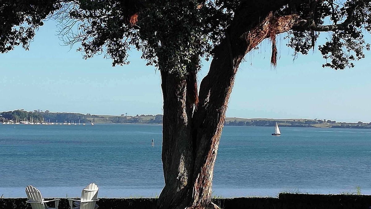 Whakamarama House | Tauranga Beachfront House On Waterfront Available For Xmas