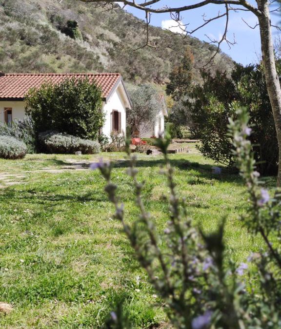 Potenza House | Taverna Centomani