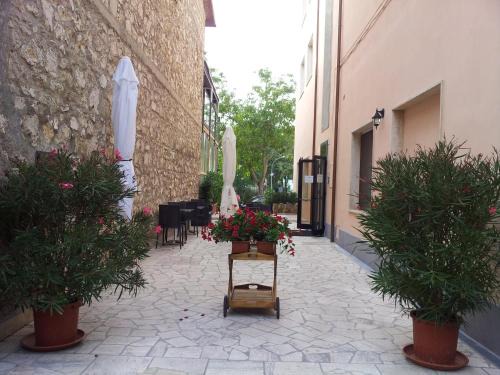 Saturnia Bed & Breakfast | Tellus Saturnia
