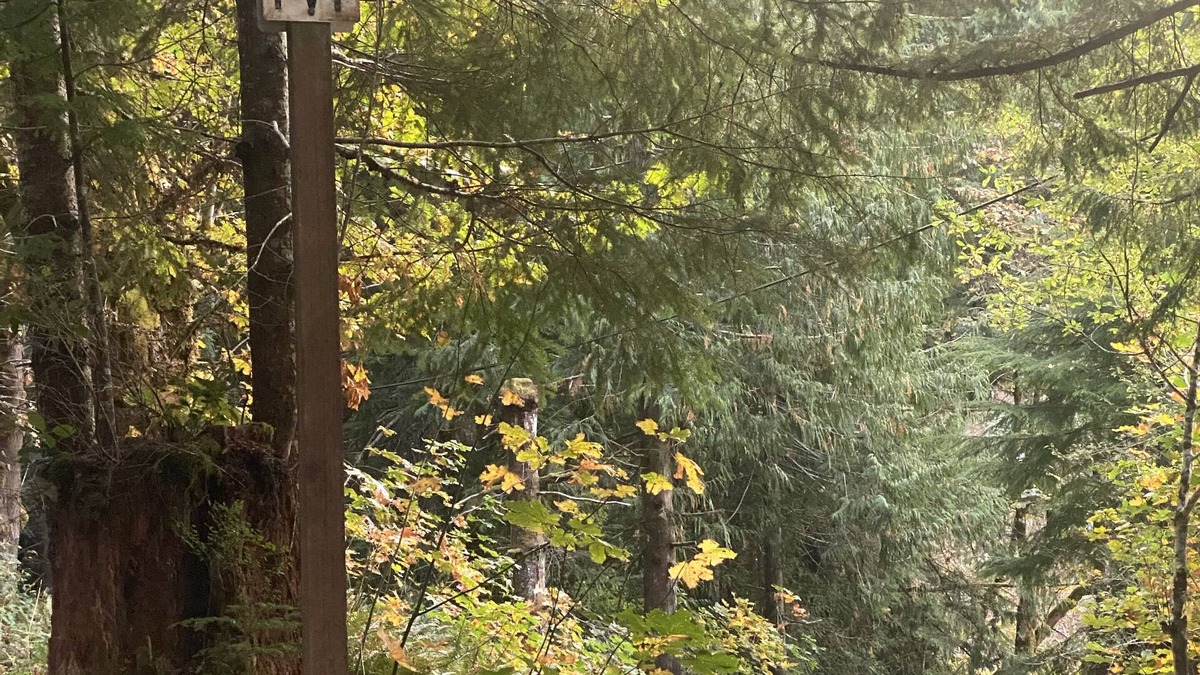 Port Angeles RV Rental | Tent campsite w/lake view on Lake Sutherland!