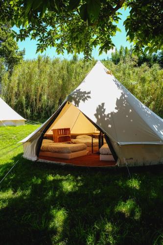 Kokotia Other | Tente dortoir partagée - Hegoa Surf Camp Pays Basque - Dorm - Compartida