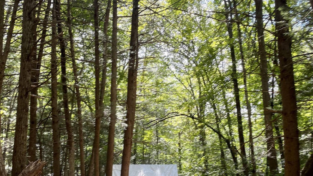 Ellenville RV Rental | Tentrr Signature Site - Secluded Streamside Camp 90 miles from NYC