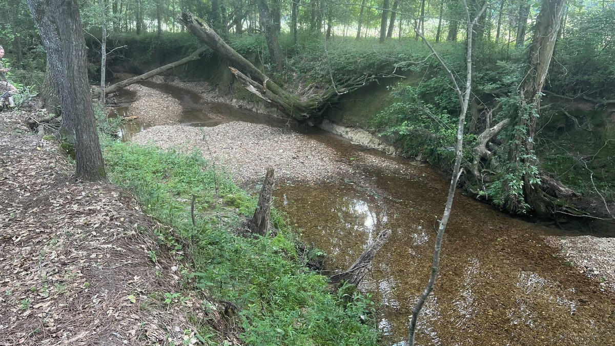 Florence RV Rental | Tentrr Signature Site - Hidden Creek In Florence