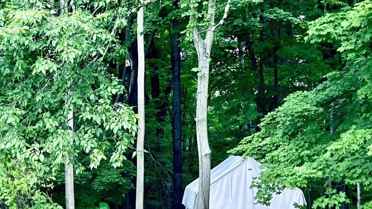 Red Hook RV Rental | Tentrr Signature Site - FRISKY SWARD Upper Forest