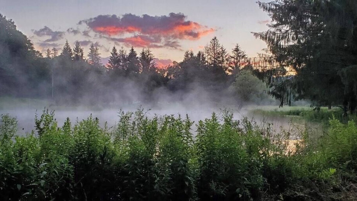 Bovina Center RV Rental | Tentrr Signature Site - Wolf Camp