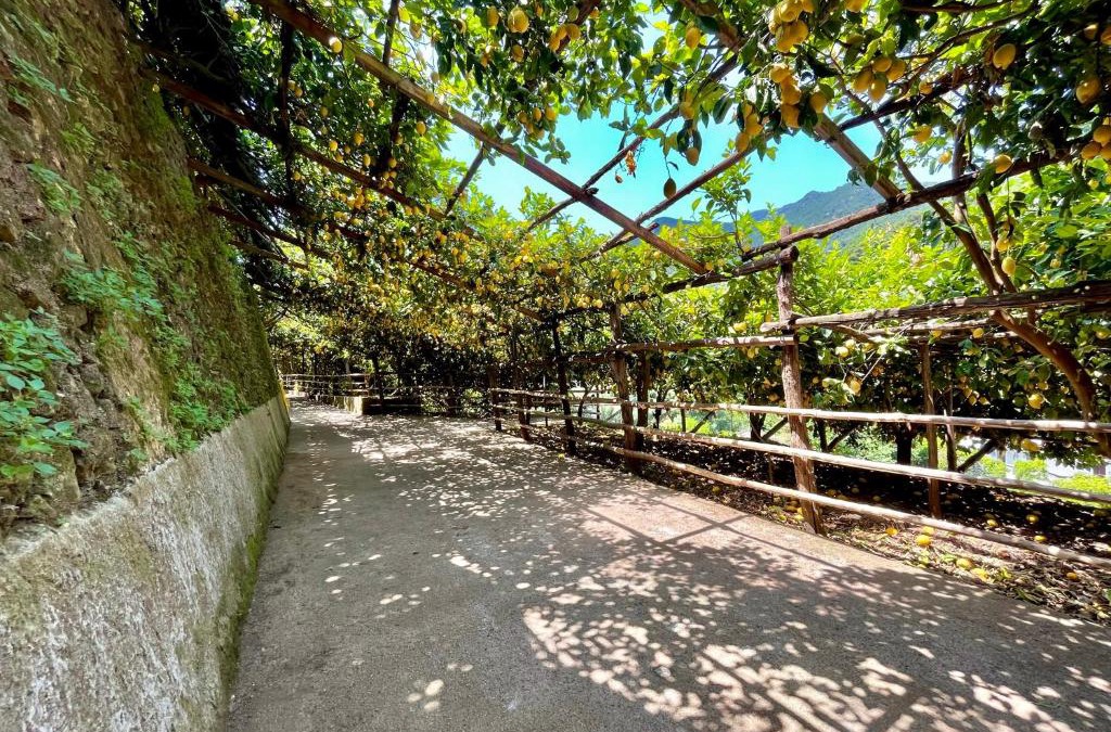 Pucara Apartment | Tenuta Donna Giovanna