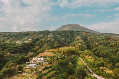 Torre del Greco House | Tenuta Le Fornacelle