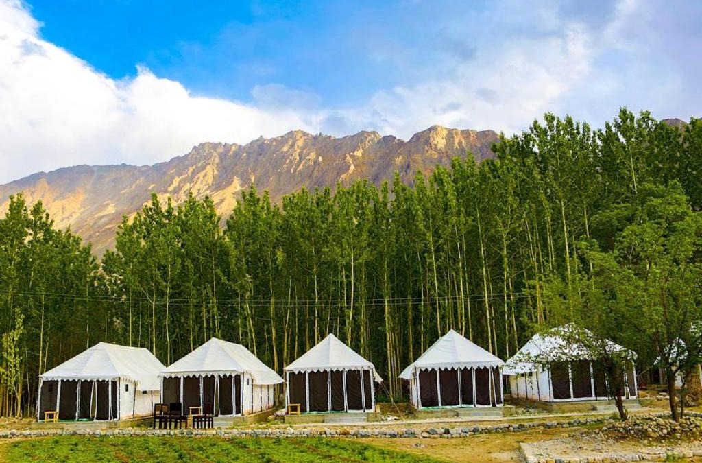Hundur Bed & Breakfast | Terrain Ladakh Camping