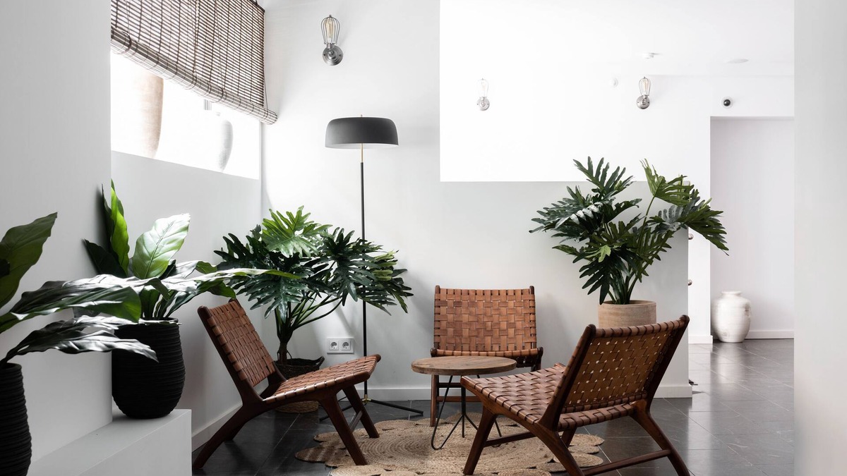 El Terreno Apartment | Terreno Suites