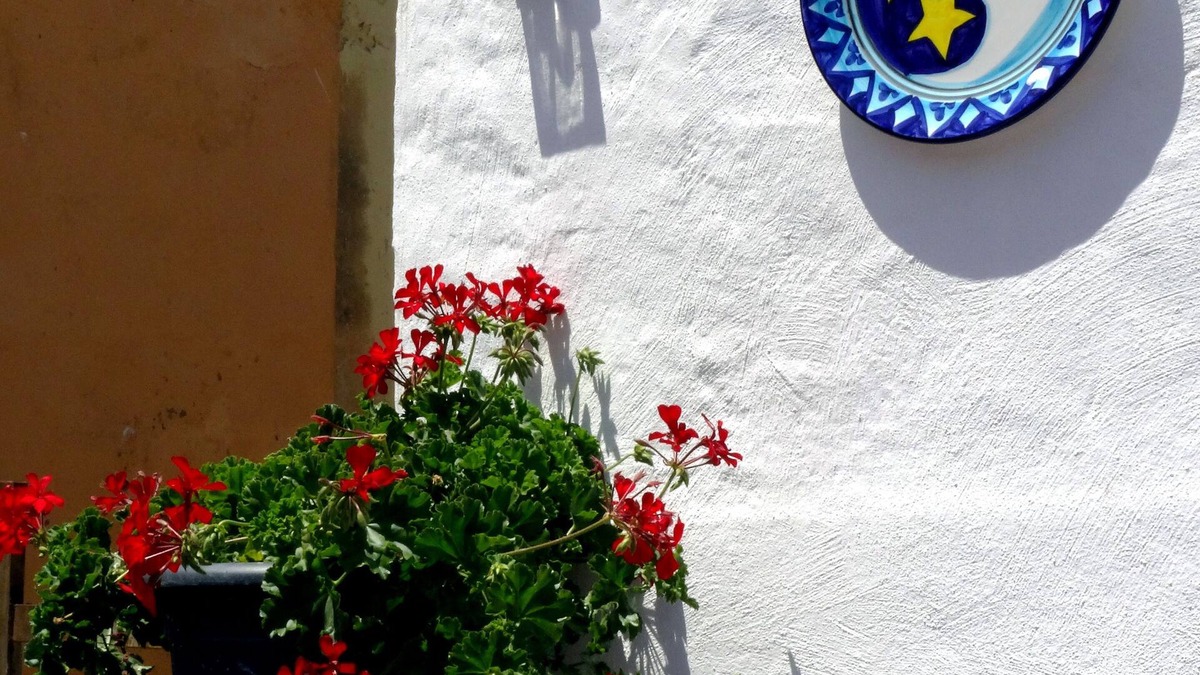 Ulldecona House | Terres de L'ebre Experience