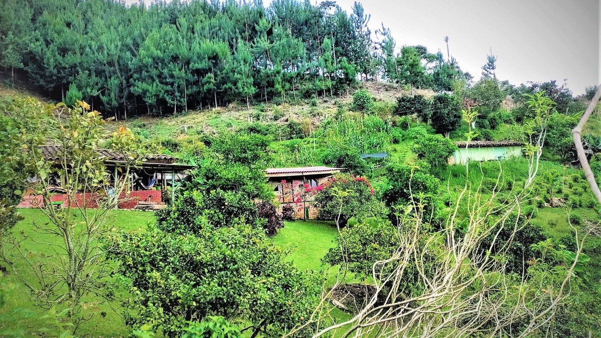 Filandia Cabin | Tesorito House en las Montañas del Quindío