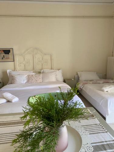 Patras House | Thalassa