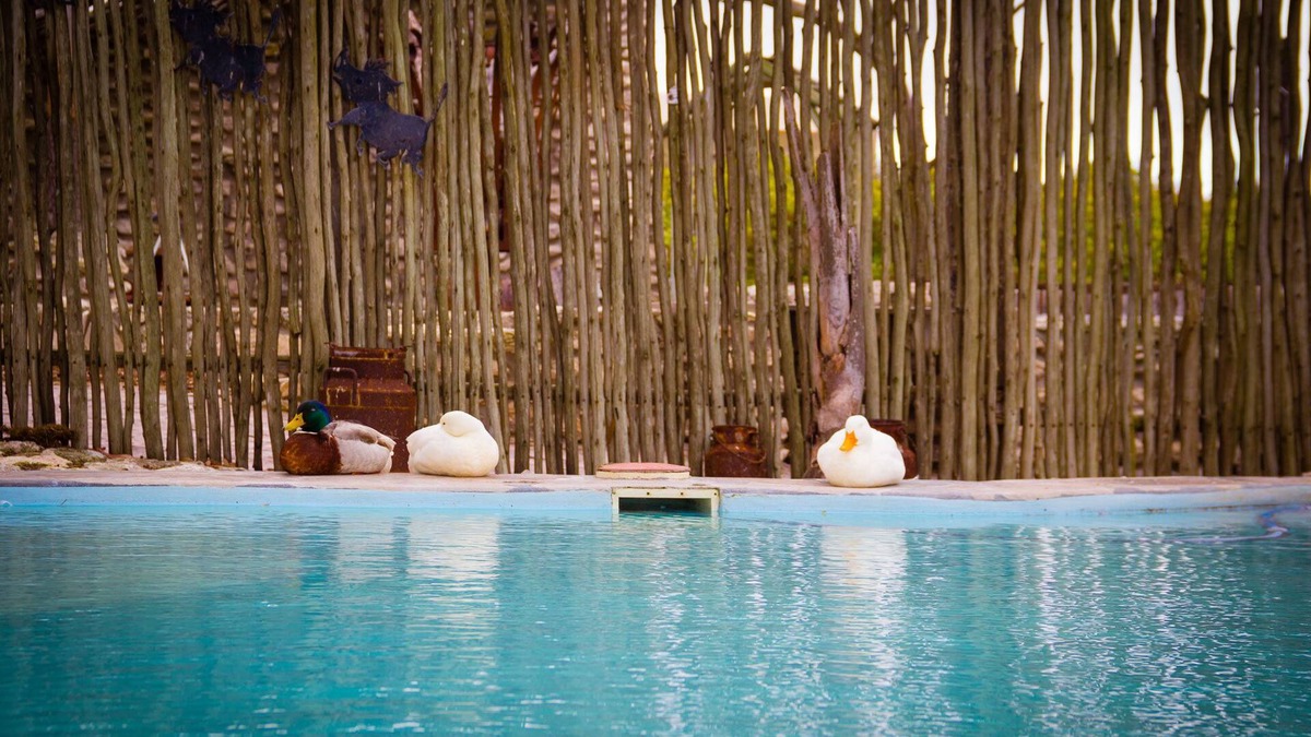 Saldanha Bay Cabin | Thali Thali Game Lodge