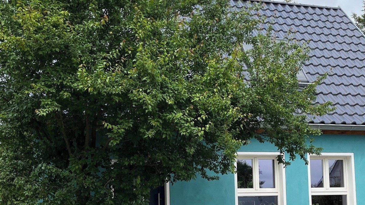 Bad Belzig House | "The 24" Ecological living in the Hohen Fläming region