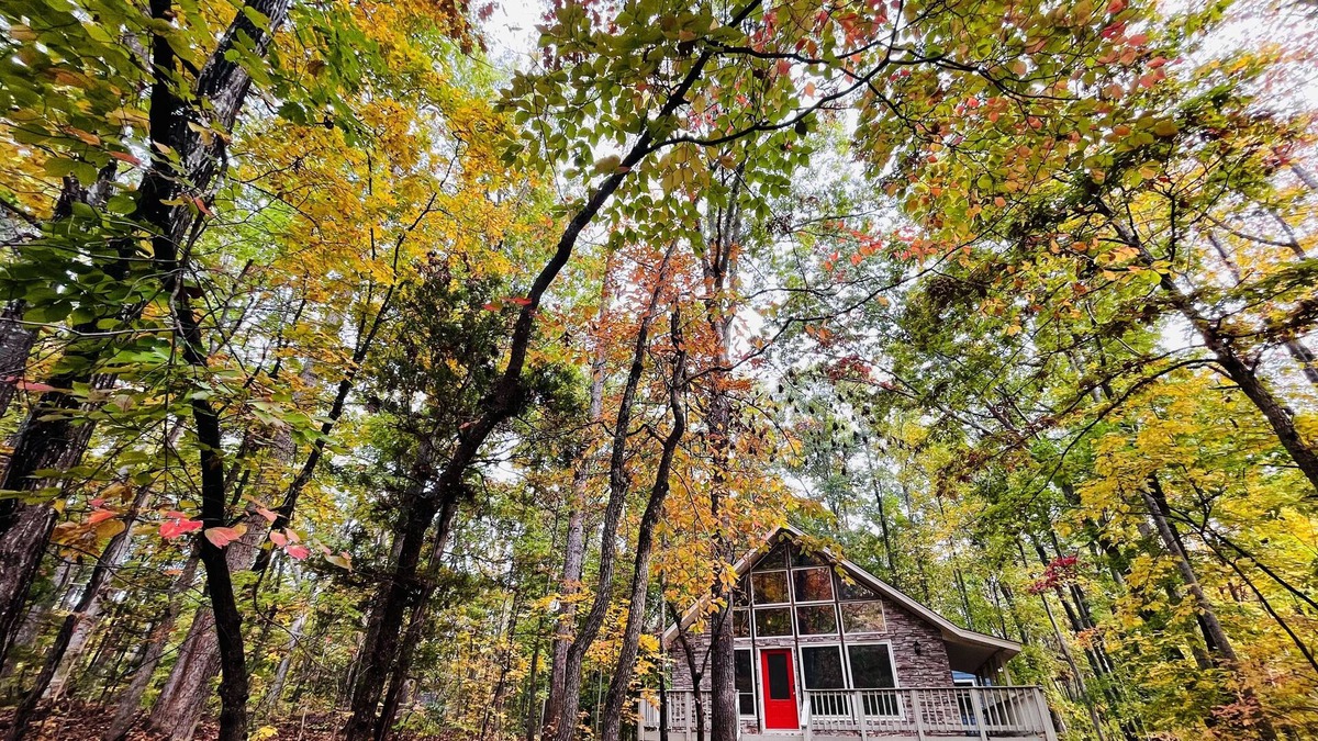 Lake of the Woods Cabin | The A-frame near the lake
