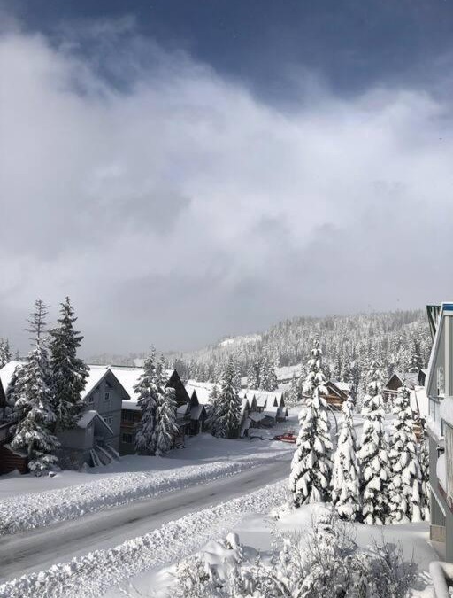 Courtenay Ski Chalet | The Akasha