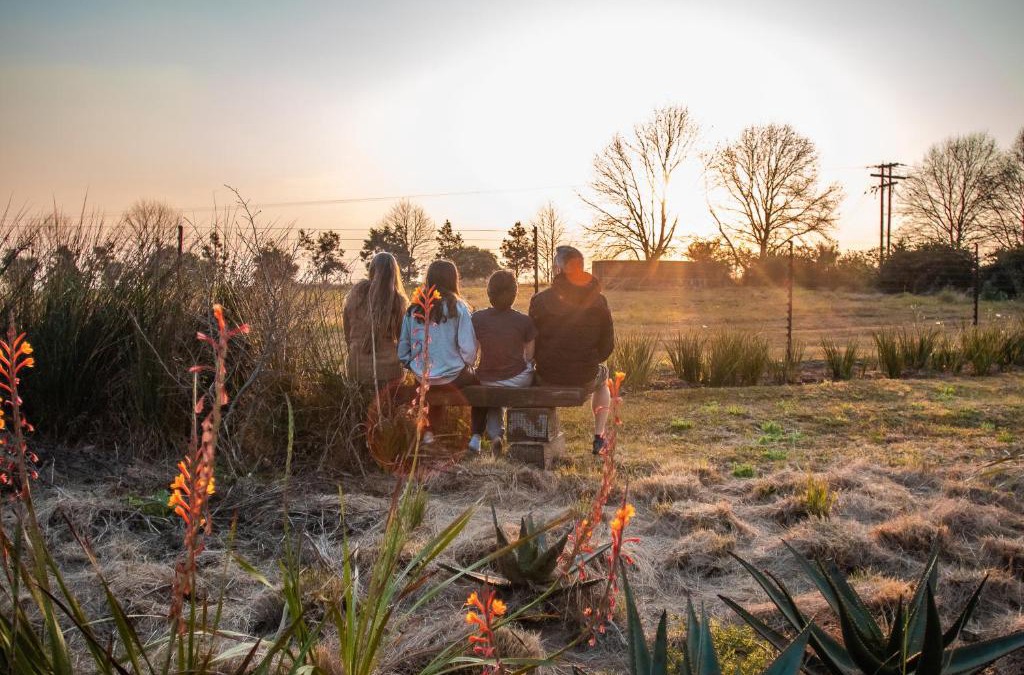 Merrivale Apartment | The Aloes Farm - The Studio & The Gallery