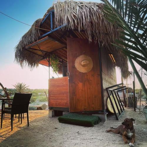 La Fortuna House | The Baja Station - The Palapa Beach Hut