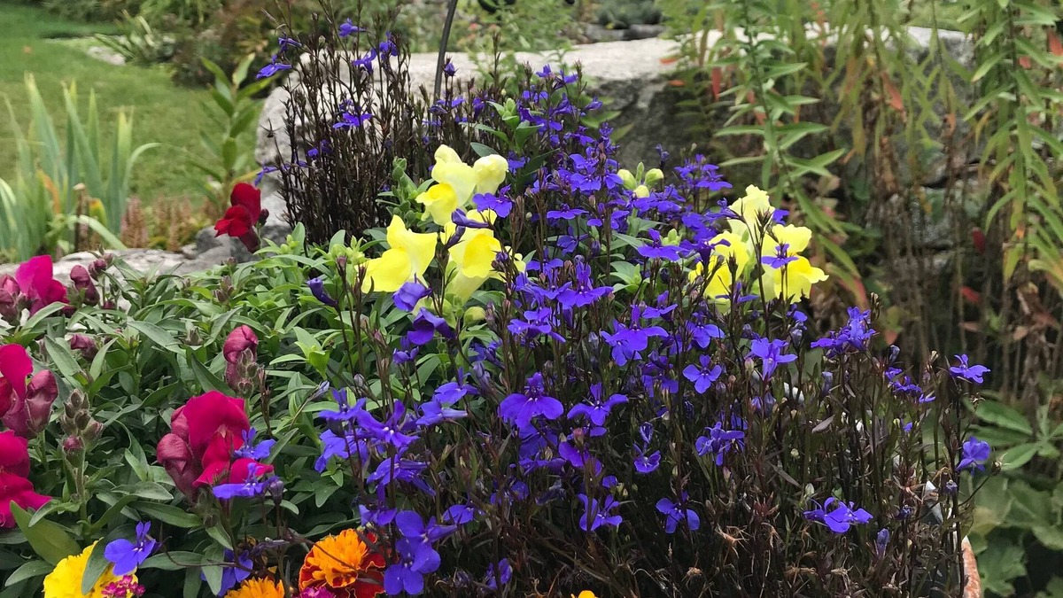 Round Pond Apartment | The Barn at Round Pond