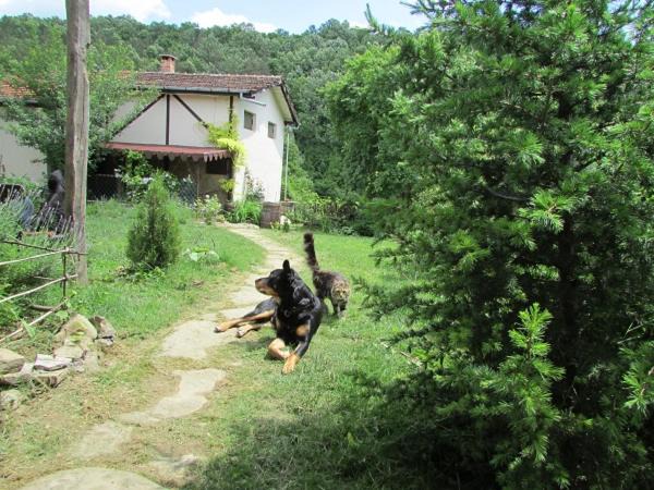 Dryanovo House | The Barn