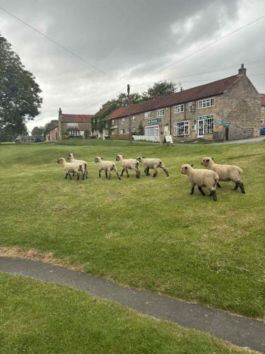 Hutton le Hole House | The Barn Guest House and Tearoom