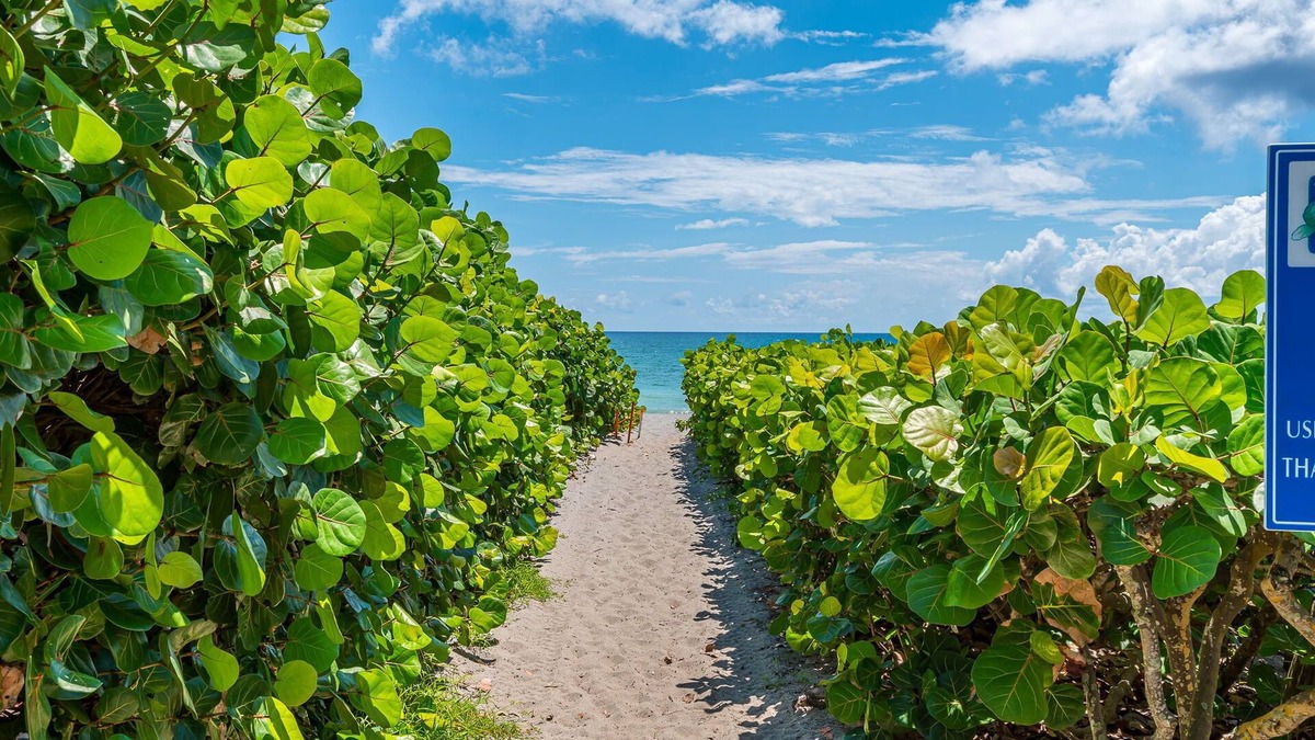 Juno Beach Condo | The Beach Villa in Juno! 2-Steps to the Beach