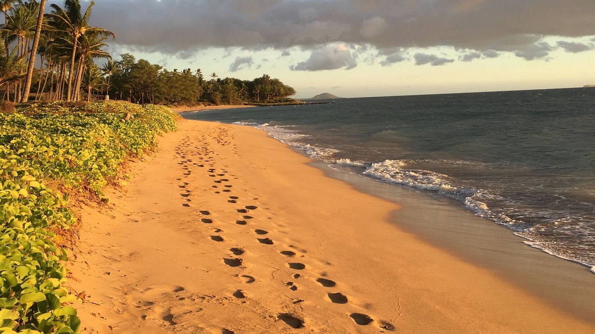 Kihei Condo | THE BEST KEPT SECRET ON MAUI ! LITTLE PEACE OF PARADISE