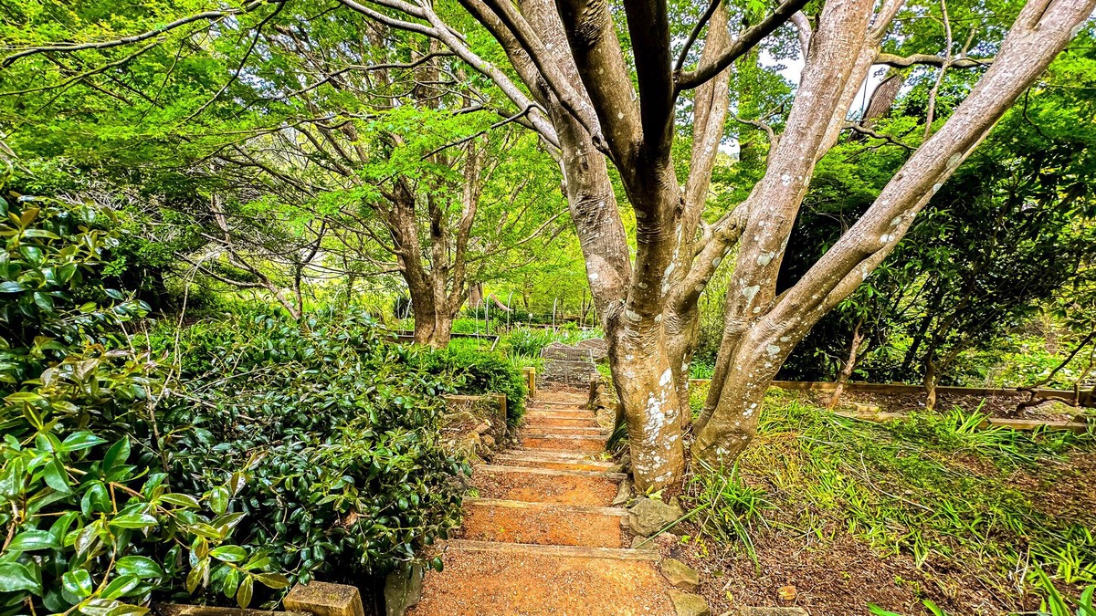 Robertson House | The Best of Both Worlds