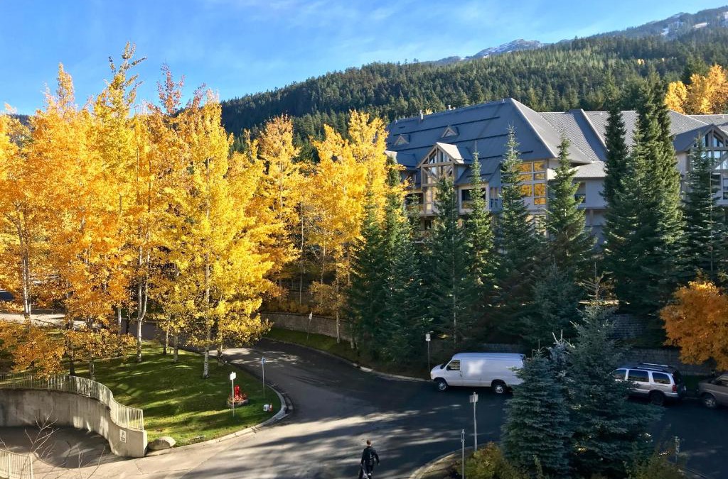Upper Village Apartment | The Best Top Floor Ski-in/Ski-out at the Aspens